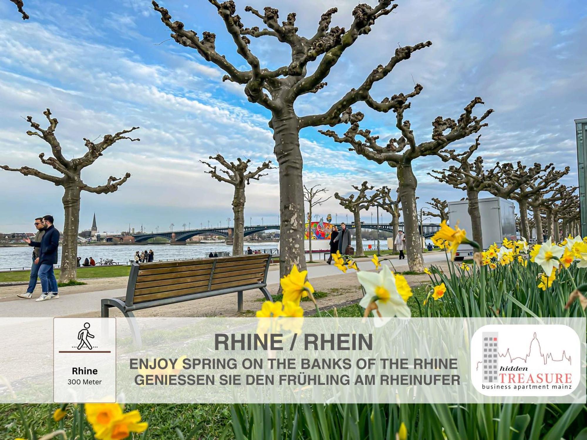 Hidden Treasure Business Apartment Mainz - Fantastic Rhine View In Center Of Mainz Old Town Extérieur photo